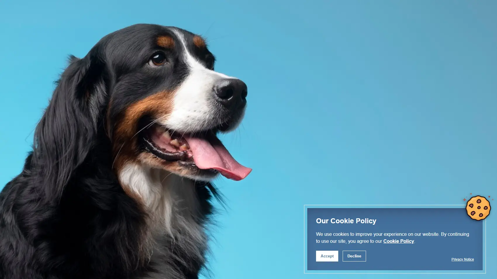 Cookie Policy